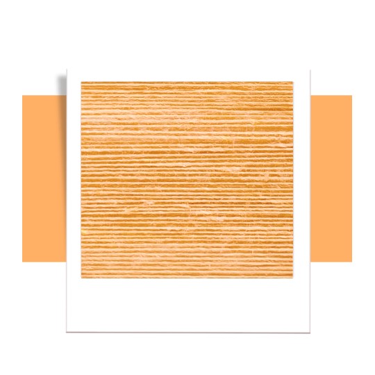 Cuerda trenzada 9 mm Bobbiny (5 metros)